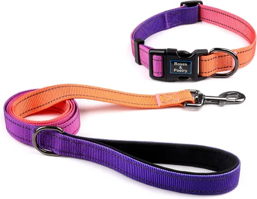 Vista 10 de Roses&Poetry - Juego de collar y correa reflectante para perros pequeños, arneses para cachorros con collares, collar y correa de nailon ajustable
