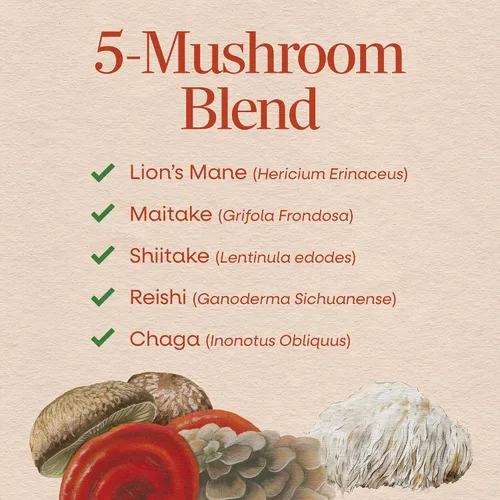 Vista 3 de Nature's Way Mezcla de 5 hongos, con melena de león, shiitake, reishi, maitake, hongo chaga, 60 cápsulas veganas