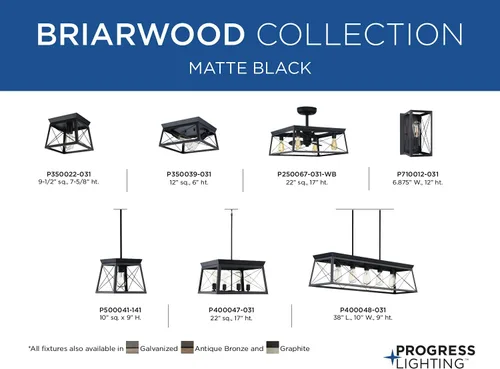 Vista 14 de Progress Lighting Briarwood Collection - Lámpara de techo de 1 luz, montaje empotrado para luces interiores de cocina, pasillo, dormitorio, sala