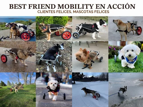 Vista 9 de Silla de ruedas para perro Best Friend Mobility tamaño extra pequeño