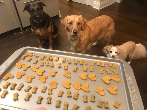 Vista 3 de Wag Doh - Masa de galletas 100% natural para perros
