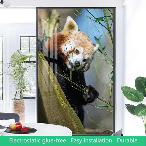 Vista 4 de Película de vidrio esmerilado marrón y verde para ventanas y puertas, actividad de panda África, película ecológica para ventana de fotos, bloqueo