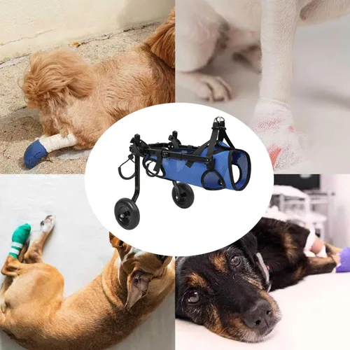 Vista 7 de Silla de ruedas ajustable para patas traseras, soporte de pierna de perro y soporte de cadera, sillas de ruedas para mascotas/perros con patas