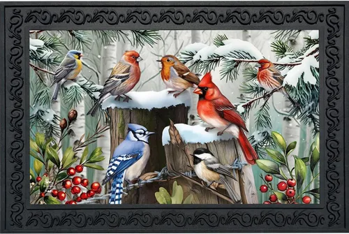 Vista 17 de Briarwood Lane - Felpudo de pájaros del invierno con cardenales