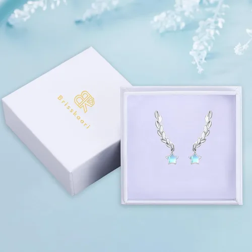 Vista 7 de Regalo para el día de San Valentín para mujeres, aretes de plata de ley 925 con animales Colibrí, pájaro, búho, herradura, fénix, ratón, abeja