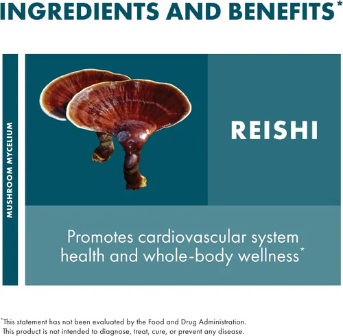 Vista 6 de Host Defense Reishi Powder - Polvo de micelio de hongos - Suplemento de apoyo para la salud del corazón y el sistema inmunológico - Suplemento