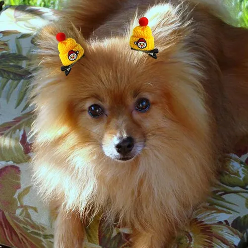 Vista 5 de 10 pinzas para el pelo para perros, accesorios de Navidad para mascotas, horquilla para el pelo de Navidad para mascotas, accesorios para el cabello