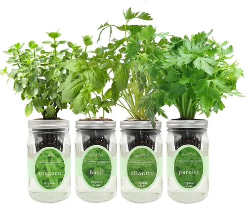 Vista 7 de Kit de cultivo de hierbas hidropónicas, tarro de masón de riego automático, kit de inicio de jardín de hierbas para interiores, cultiva 4 tipos de 2