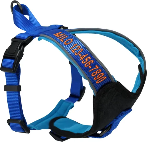 Vista 13 de Arnés para perro Pawtitas para entrenamiento de suave, ajustable, reflectante, acolchado para cachorros, Azul
