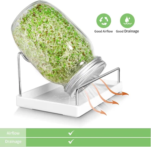 Vista 9 de Kit de tarros de germinación de semillas – 2 tarros de masón de boca ancha con tapas de germinación de acero inoxidable 316, bandeja de goteo