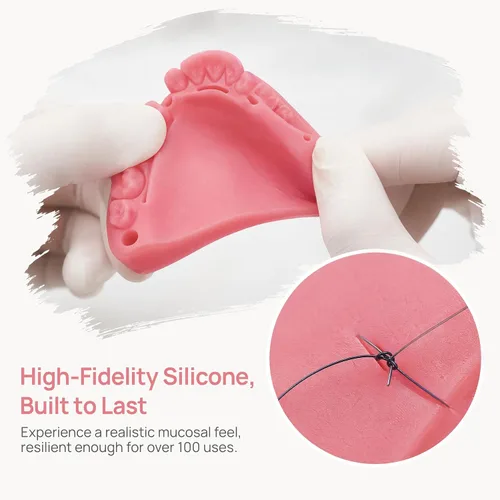Vista 2 de Kit de práctica de sutura dental, kit de sutura oral YOUYA DENTAL para entrenamiento de sutura con corte biónico de encías oral y sutura gingival, 2