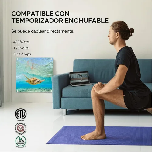 Vista 4 de EconoHome Panel de calentador de espacio para montaje en pared, con termostato, calentador de convección de 400 vatios, ideal para habitaciones