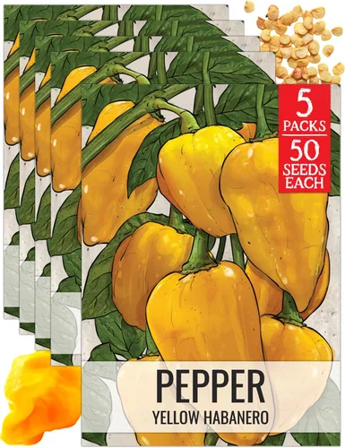 Vista 46 de Seed Needs - Semillas de pimiento arcoíris para plantar verduras, 1 paquete