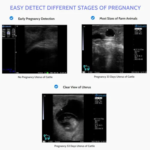 Vista 7 de DAWEI S1 máquina de ultrasonido veterinaria portátil 3.5MHz sonda convexa para animales de embarazo Perro cerdo cabra veterinario escáner