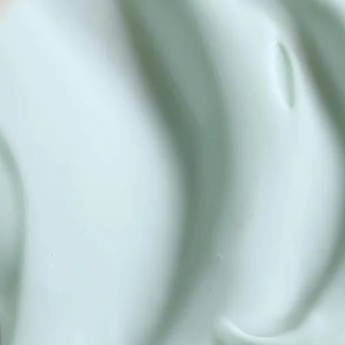 Vista 2 de KORA Organics Active Algae - Hidratante ligero, crema facial hidratante, hidratante facial calmante para hombres y mujeres, certificado orgánico