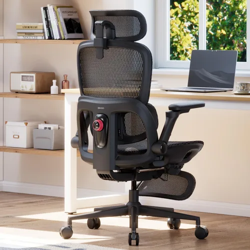 Vista 15 de SIHOO B300 Pro Ergonomic Office Chair Without Footrest, 4D Lumbar Support Negro