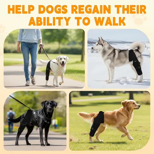 Vista 5 de Dog Knee Brace for Hind Leg – Adjustable Rear Leg Support with 2 PP Resin Bars, Helps Torn ACL, Ligament Injuries, Luxating Patella & Hip Dysplasia