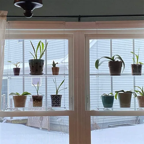 Vista 3 de Estantes acrílicos para plantas de ventana, estante de pared flotante colgante transparente, estante para macetas, estante para plantas de ventana