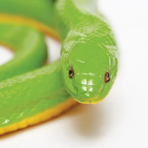 Vista 4 de Safari Ltd. Figura de serpiente verde áspera, figura detallada de plástico de 36 pulgadas, divertido juguete educativo para niños, niñas y niños a
