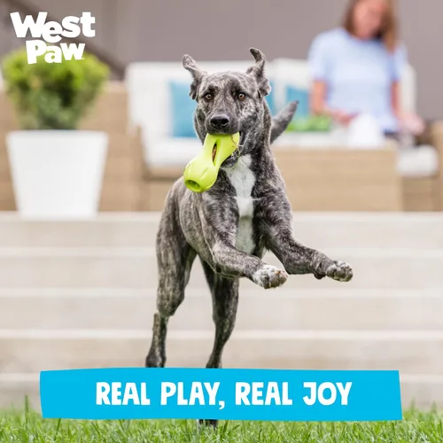 Vista 9 de West Paw Design, Juguete para perro Qwizl Aqua Pequeño