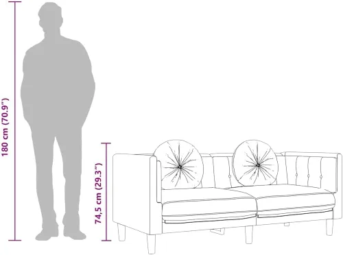 Vista 4 de vidaXL Sofá con cojines de 2 plazas, sofá tapizado, sofá biplaza para sala de estar en casa, sofá de dos plazas, estilo moderno, terciopelo gris