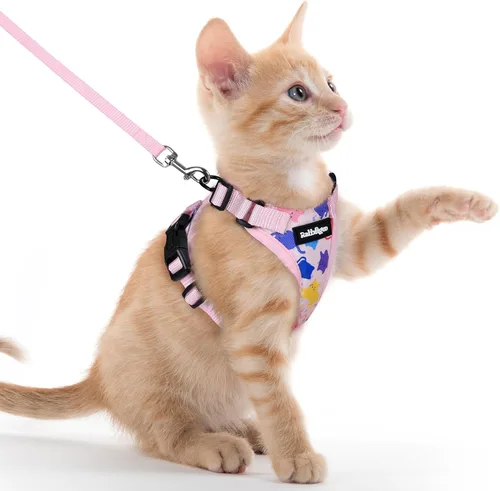 Vista 76 de rabbitgoo Cat Harness and Leash Set, Escape Proof Vest, XXS, Berry Pounce Soft Breathable Mesh, No-choke Adjustable Fit, Snap Buckles, Sturdy