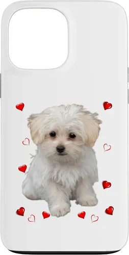 Vista 23 de Funda para iPhone 11 Maltipoo Mix Fans para amantes de los perros maltés