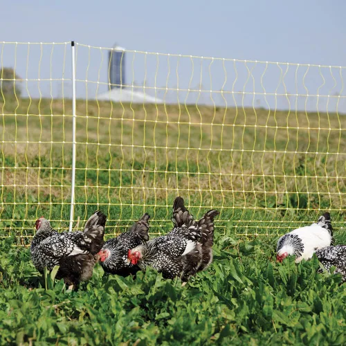 Vista 4 de Premier 1 Red eléctrica portátil para pollo con postes incorporados, 48 pulgadas de alto x 164 pies de largo, valla amarilla para aves de corral