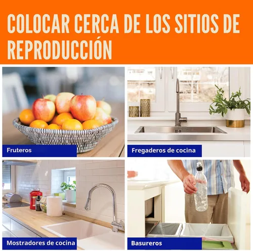 Vista 6 de Trampa para moscas de fruta Terro, paquete de 4