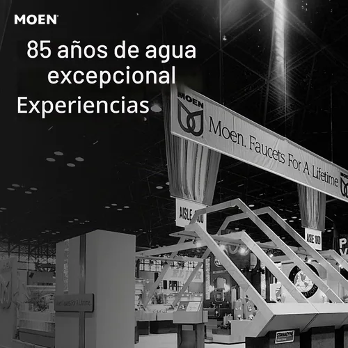 Vista 8 de Moen T2471BZG Genta LX - Molde para ducha, color dorado bronce