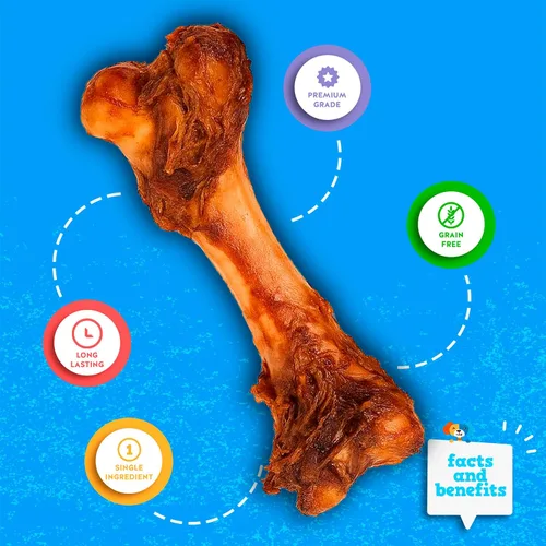 Vista 3 de Jack&Pup Huesos de fémur de cerdo jumbo para perros de larga duración Huesos de perro de carne gourmet Un solo ingrediente, salados, sin cuero