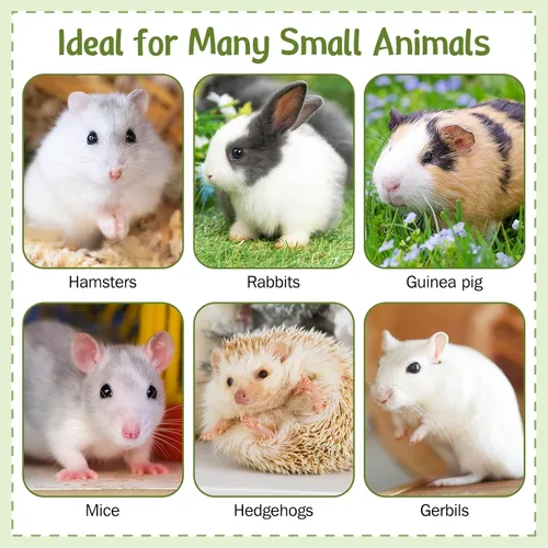 Vista 7 de Hamster Chew Toys for Teeth Guinea Pig Edible Food Bowl