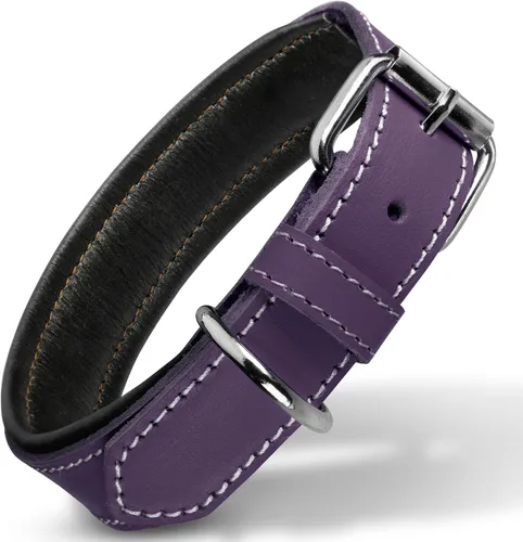 Vista 8 de Filbert Collar de cuero para perro, collar de cuero genuino para perros pequeños, acolchado de lujo, fuerte, ajustable para todas las razas, hebilla