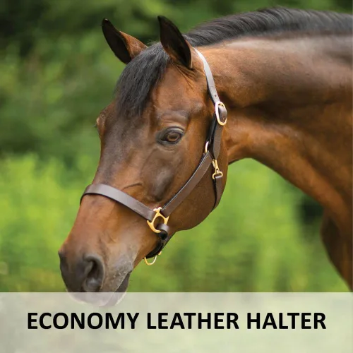Vista 2 de Dura-Tech Premier Lancaster - Cabestro de cuero para caballos Cabestro de cuero económico simple con ajuste ajustable y herrajes de latón macizo