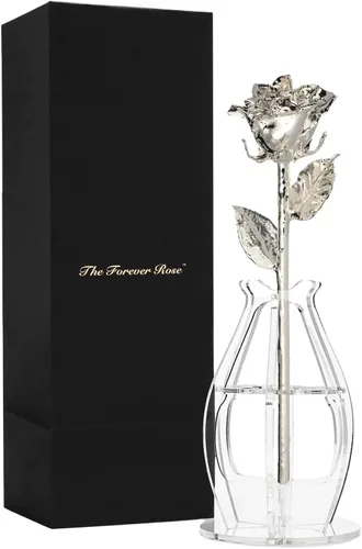 Vista 11 de Forever Rose - Rosa real sumergida en plata, rosa preservada hecha a mano en jarrón de corazón acrílico y lujosa caja de regalo dorada, regalo