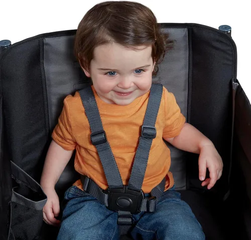 Vista 16 de Radio Flyer - Vagón para niños, cochecito de bebé, juguetes para exteriores para niños de 1 a 3 años, carrito rodante, carrito de playa con ruedas