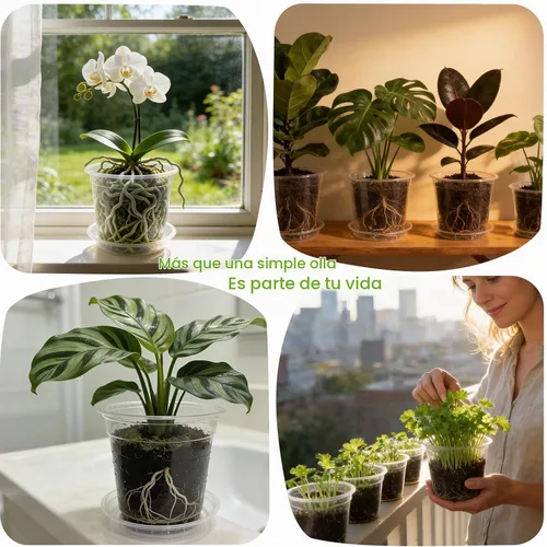 Vista 3 de Macetas transparentes para vivero con platillos, paquete de 24 macetas de plástico de 4/5/6/7 pulgadas, para suculentas de interior y exterior