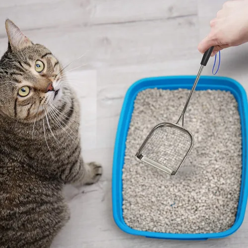 Vista 5 de Sand Dipper Pala de Arena Metálica para Gatos – Pala de Caca de Gato con Mango Largo para Caja de Arena (15"), Pala de Arena de Acero Inoxidable
