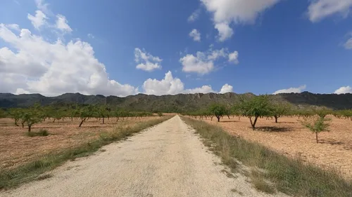 Vista 4 de Paseos virtuales en bicicleta - Olivos Groves Spain - Para entrenamiento en interiores, cinta de correr y correr