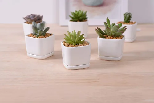 Vista 2 de Sea Star - Maceta moderna rectangular minimalista de cerámica blanca de 10 pulgadas para plantas suculentas para oficinas, escritorios, ventanas