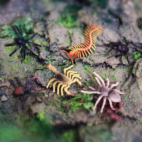 Vista 4 de RCOMG Juego de 12 figuras de insectos realistas de plástico, animales de vida silvestre, juguetes falsos para Halloween, fiesta, proyecto escolar