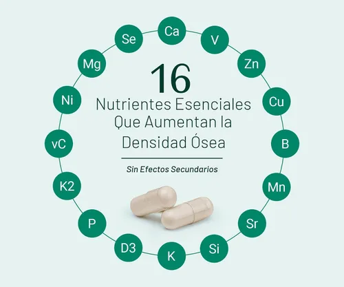 Vista 2 de ALGAECAL Paquete - D3 completo (1000 UI) + K2, vitamina E, vitamina A y calcio a base de plantas para huesos más fuertes