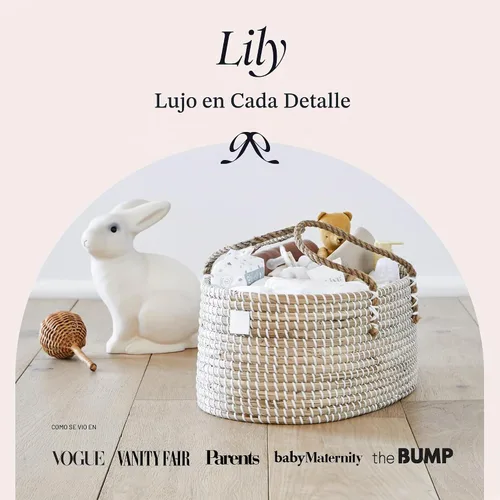 Vista 2 de BEBE BASK - Organizador de pañales para bebé, cesta con divisor de algodón Award Winner, Handmade, Seagrass Caddy Basket, Newborn Essentials