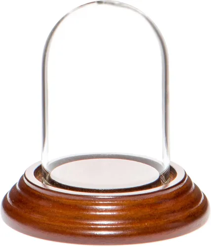 Vista 4 de Plymor Mini campana de cristal en forma de domo para exhibición, de 1.85 x 2.875 pulgadas