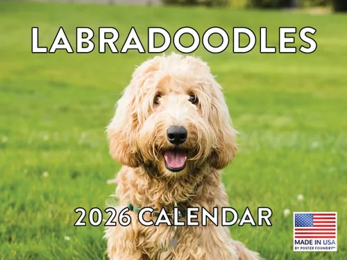 Vista 106 de Calendario mensual de pared Airedale Terrier Dog 2027 rojo (Airedale Terrier)
