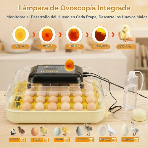 Vista 5 de Incubadoras de huevos para incubar 30 huevos con control de temperatura