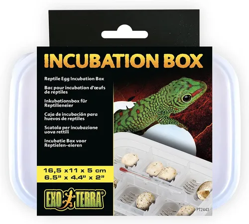 Vista 6 de Exo Terra Incubadora de precisión Pro para terrarios de reptiles