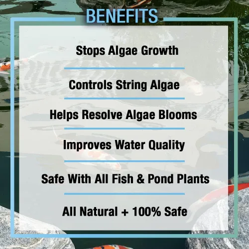 Vista 3 de MICROBE-LIFT ALGA08 Algaway 5.4 Tratamiento de control de algas para estanques y jardines acuáticos, seguro para peces koi, peces dorados, plantas