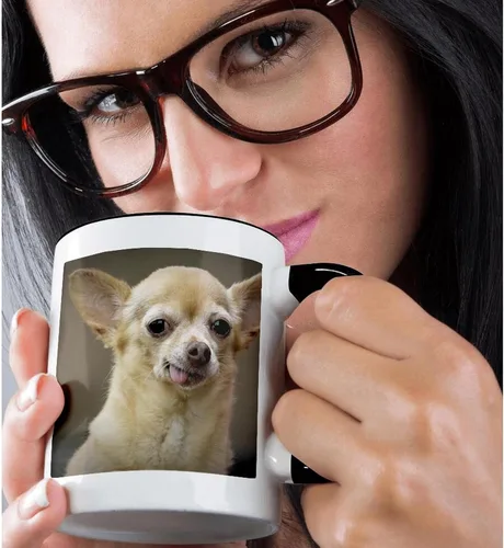 Vista 2 de 3dRose Taza de café, tamaño – 15 oz – Perro Chihuahua sin dientes, Santa Fe, Nuevo México – US32 JMR0502 – Julien McRoberts Dogs – divertido regalo