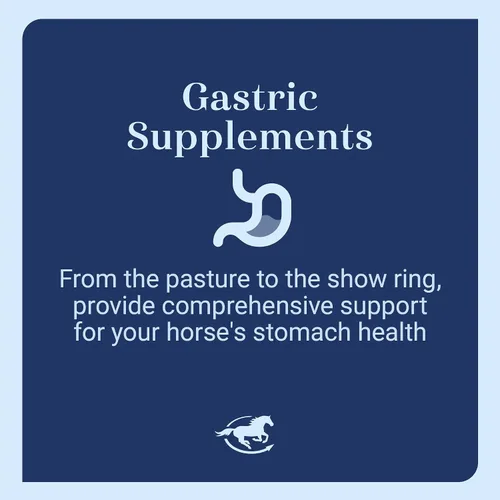 Vista 4 de Gut™ Pellets Probióticos intestinales saludables para caballos Prebiótico equino y probiótico Suplemento para estómago de caballo 2.7 libras